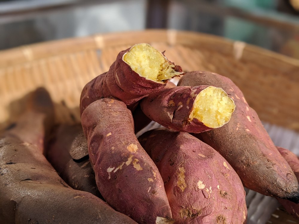 焼き芋販売現場でのサイズの目安