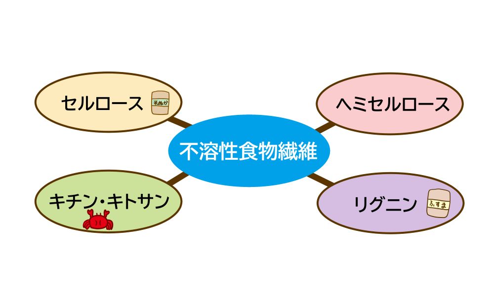 不溶性食物繊維とは