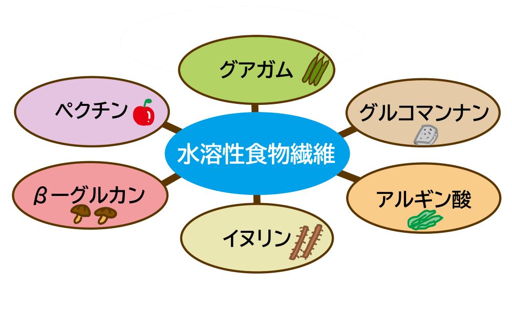 水溶性食物繊維とは